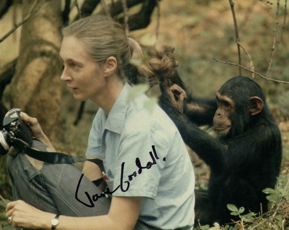 Jane Goodall Authentic Autographed Signed Chimpanzee Expert 8x10 Photo W/COA 