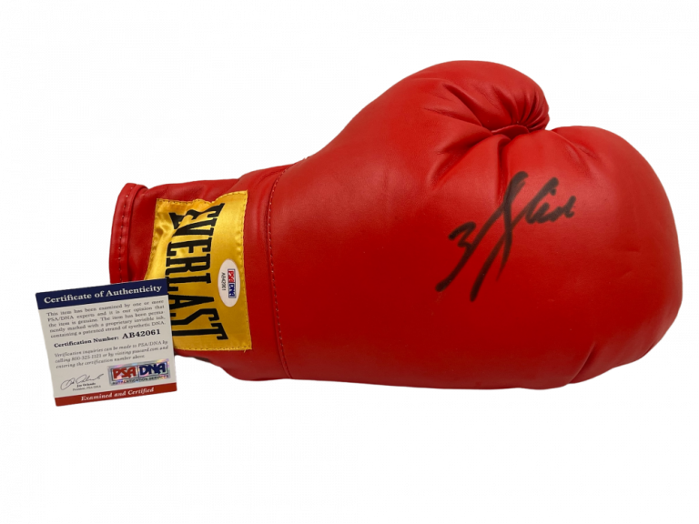 WILL SMITH SIGNED BOXING GLOVE ALI AUTHENTIC AUTOGRAPH PSA DNA COA COLLECTIBLE MEMORABILIA