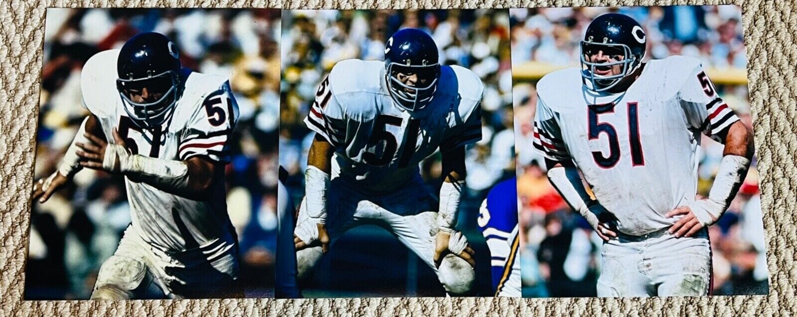 Lids Dick Butkus Chicago Bears Fanatics Authentic Autographed 8 x 10  Smiling Photograph