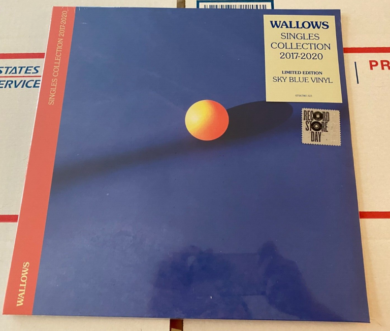 The wallows record store day vinyl - discount the singles