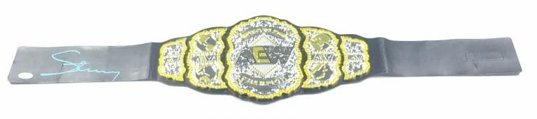 STING SIGNED CHAMPIONSHIP BELT PSA/DNA AEW NXT AUTOGRAPHED WRESTLING COLLECTIBLE MEMORABILIA
