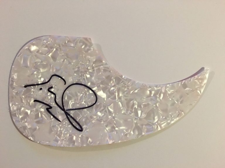 GFA SOULFUL POP STAR * ERIC HUTCHINSON * SIGNED ACOUSTIC PICKGUARD COA COLLECTIBLE MEMORABILIA