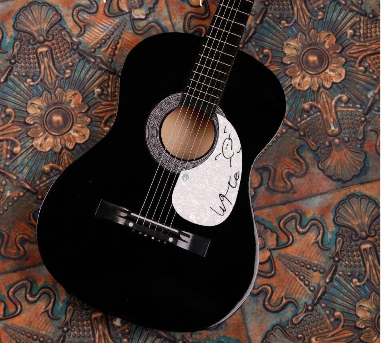 GFA THE FLAMING LIPS * WAYNE COYNE * SIGNED ACOUSTIC GUITAR W2 PROOF COA COLLECTIBLE MEMORABILIA