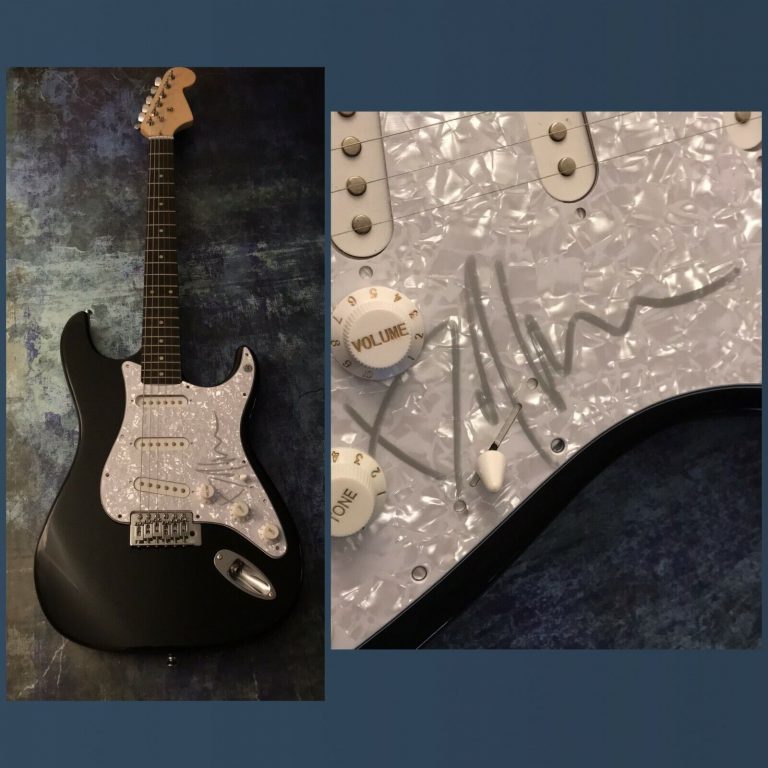 GFA BEETLEJUICE COMPOSSER * DANNY ELFMAN * SIGNED ELECTRIC GUITAR PROOF COA COLLECTIBLE MEMORABILIA