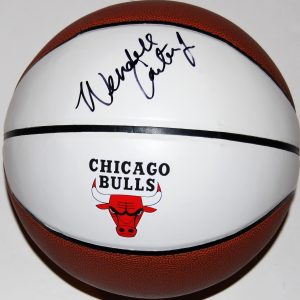 WENDELL CARTER JR signed (CHICAGO BULLS) LOGO autographed basketball W/COA #1 Collectible Memorabilia