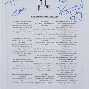 KT TUNSTALL SIGNED BLACK HORSE AND THE CHERRY TREE TO ERIC LYRIC SHEET Collectible Memorabilia