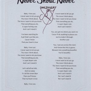 NEVER SHOUT NEVER CHRISTOFER DREW CANT STAND IT GREAT SONG LYRIC SHEET Collectible Memorabilia