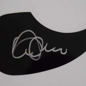 David Marks Signed Autographed Acoustic Guitar Pickguard THE BEACH BOYS COA