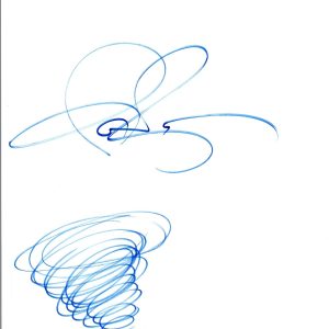 Ian Ziering Signed Autographed Hand Drawn Sketch SHARKNADO COA VD