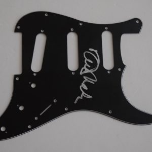 David Marks Signed Autographed Electric Guitar Pickguard THE BEACH BOYS COA