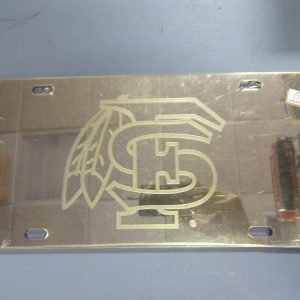 FLORIDA STATE MIRRORED GOLD LISCENCE PLATE
