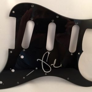 Fall Out Boy Lead Singer Pete Wentz Signed Electric PickGuard COA