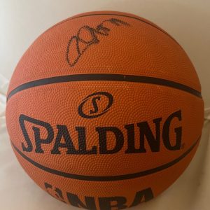 Moritz Wagner Michigan Wolverines signed NBA Basketball Ball autographed