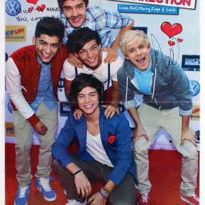 One Direction Harry Styles & Niall Horan Signed 16x20.5 Tiger Beat Poster BAS