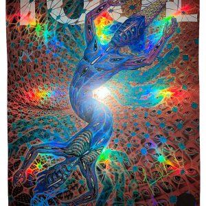 2022 TOOL SIGNED COPENHAGEN DENMARK POSTER CONCERT TOUR 4/23/22 ALEX GREY /500