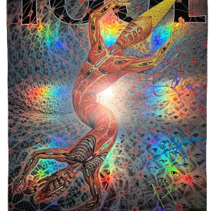 2022 TOOL SIGNED FRANKFURT GERMANY POSTER CONCERT TOUR 4/29/22 ALEX GREY /400