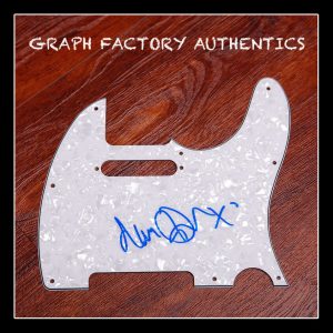 **Gorillaz Rock Legend *DAMON ALBARN* Signed Electric Pickguard AD6 PROOF COA**