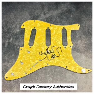 GFA Bizzey Electro DJ Dubstep * YELLOW CLAW * Signed Electric Pickguard COA
