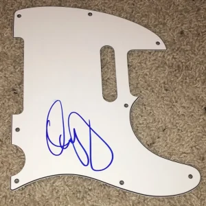 DENNIS DEYOUNG SIGNED AUTOGRAPH STYX TELECASTER GUITAR PICKGUARD w/PROOF