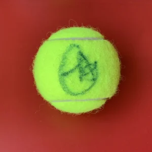 Ajla Tomljanovic Tennis Penn Tennis Ball Signed Auto
