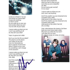 Johnny Rzeznik Signed Slide Lyric Sheet Goo Goo Dolls Authentic Autograph

