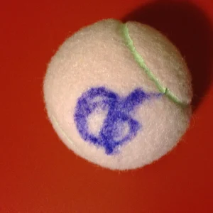 Catherine Cici Bellis Pink Wilson Hope Cancer Research Tennis Ball Signed Auto