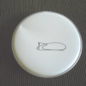 Ric Ocasek The Cars Signed Autographed 8" DRUMHEAD Guaranteed #1
