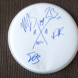 American Authors Band Autographed Signed 10" DRUMHEAD Guaranteed #1
