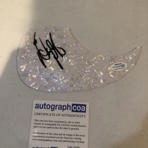 DOUG GRAY MARSHALL TUCKER BAND SIGNED AUTOGRAPH ACOUSTIC GUITAR PICKGUARD ACOA