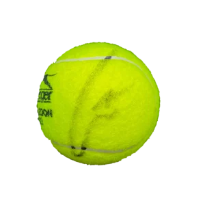 Carlos Alcaraz Signed Autograph 2023 Wimbledon Tennis Ball - Champion w/ JSA COA