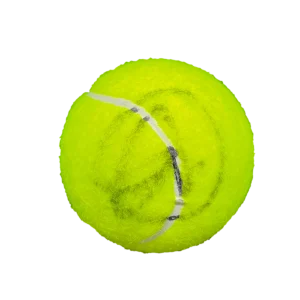 Novak Djokovic Signed Autograph Wimbledon Tennis Ball - Champion w/ JSA COA
