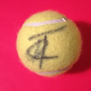 Tamira Paszek Wilson Tennis Ball Signed Auto
