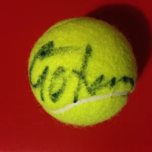 Anna Tatishvili Wilson Tennis Ball Signed Auto
