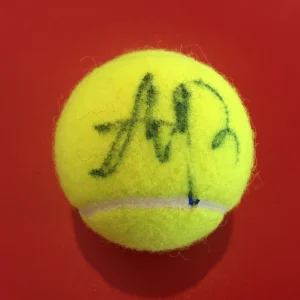 Anastasia Pavlyuchenkova Wilson Tennis Ball Signed Auto
