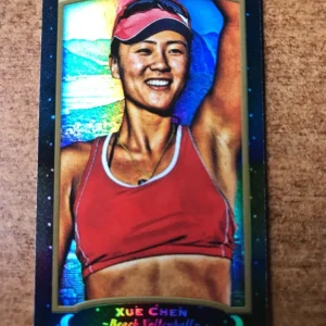 Xue Chen 2017 Upper Deck Goodwin Champions Black Metal Magician 14/17 Var SP
