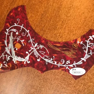 TIM MCGRAW COUNTRY MUSIC HALL OF FAME JSA/COA SIGNED GUITAR PICK GUARD