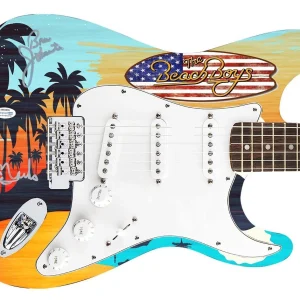Beach Boys Johnston Marks Mike Love Signed 1/1 Graphics Guitar ACOA Exact Proof