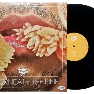 Toro y Moi Autographed Underneath The Pine Album LP Chaz Bear ACOA
