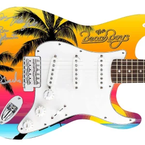 Beach Boys Johnston Marks Mike Love Signed 1/1 Graphics Guitar ACOA Exact Proof