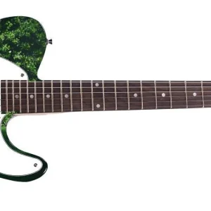 Vince Gill Autographed Signed Graphics Photo Guitar ACOA