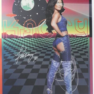 Kacey Musgraves Signed Autograph Oh What A Night Tour Poster Lithograph
