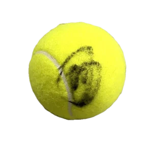 Novak Djokovic Signed Autograph Tennis Ball - Wimbledon US Open Champion JSA COA