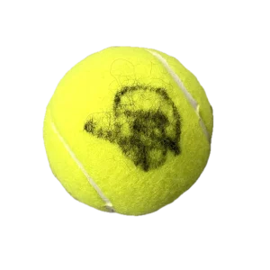 Novak Djokovic Signed Autograph Tennis Ball - 24x Grand Slam Champ w/ JSA COA