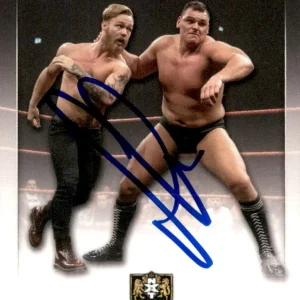 WALTER Signed 2020 Topps WWE NXT UK Card NXT-63 GUNTHER
