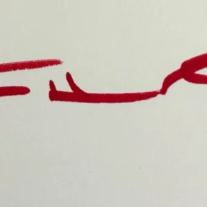 TOM HANKS Signed Autograph 1st Ed Book "The Making of Another Major..." JSA COA
