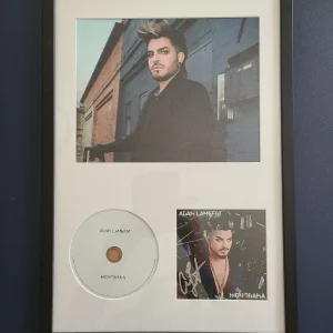 ADAM LAMBERT signed autographed HIGH DRAMA CD insert matted and framed
