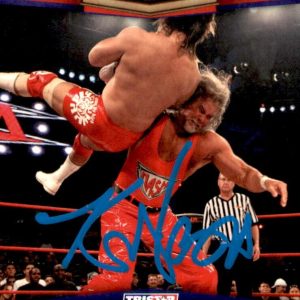 Kevin Nash "Diesel" Signed 2010 Tristar TNA Icons Card #6 WWE