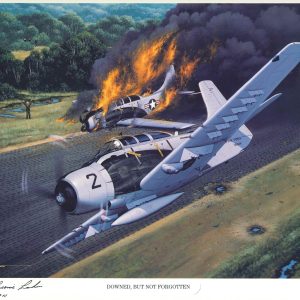 BERNARD FISHER SIGNED DOWNED BUT NOT FORGOTTEN STAN STOKES PRINT VIETNAM MOH