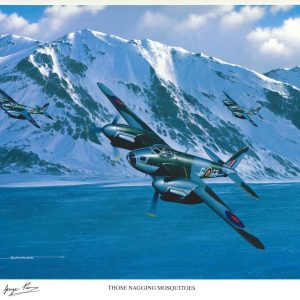 GEORGE PARRY SIGNED THOSE NAGGING MOSQUITOES STAN STOKES PRINT WWII RAF