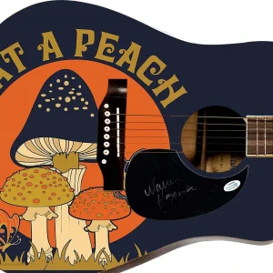 Warren Haynes Autographed Allman Brothers Custom 1/1 Graphics Guitar